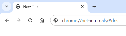 Chrome net-internals dns