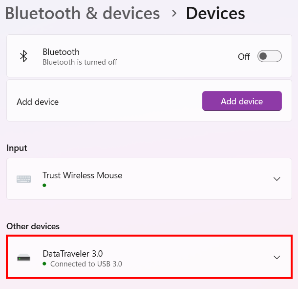 Click on your USB drive to view options