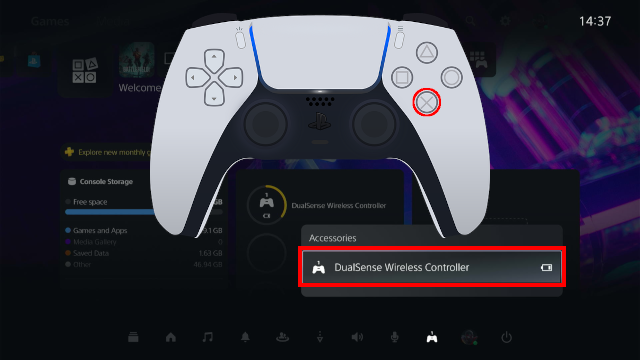 DualSense Wireless Controller options