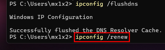 ipconfig /renew command