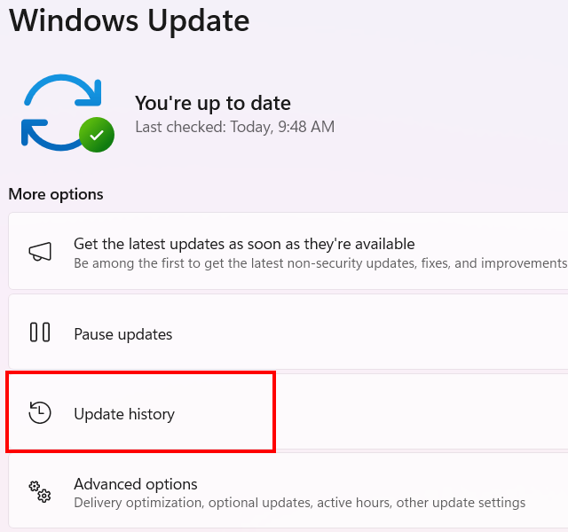 Open Windows Update history