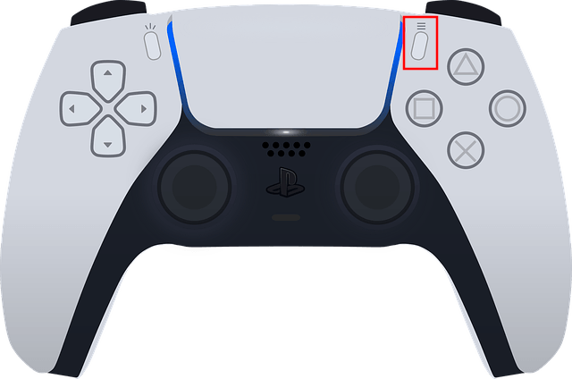 Options button on PS5 controller