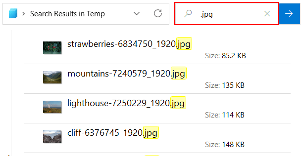 Search for file extension in File Explorer in Windows 11