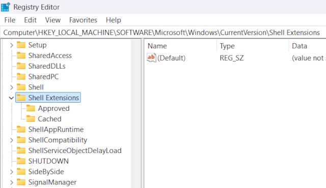 Shell Extensions in Windows Registry Editor