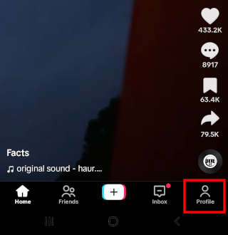 TikTok Profile button