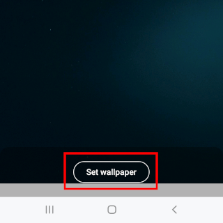 WhatsApp set wallpaper button